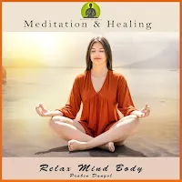 Prabin Dangol — Brain Healing Sound — обложка